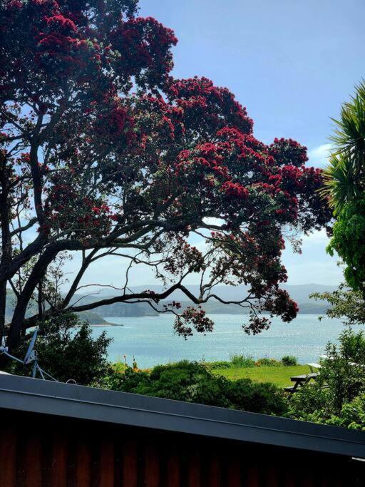 Orca Lodge Raglan Eksteriør bilde