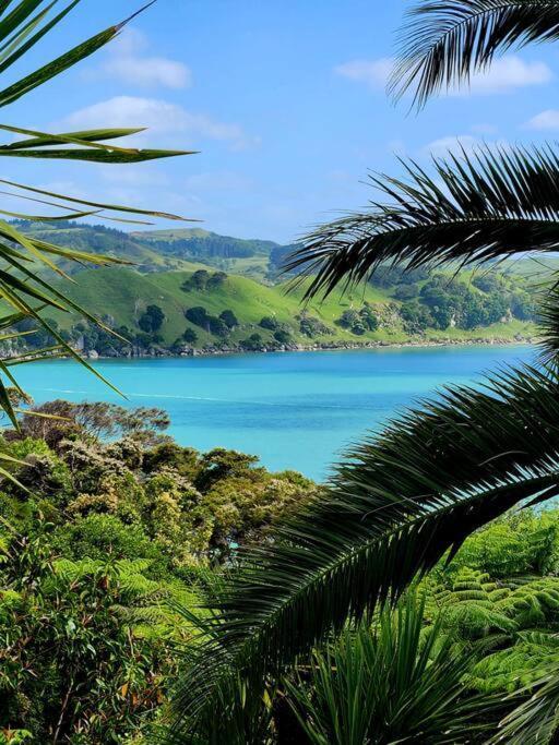 Orca Lodge Raglan Eksteriør bilde